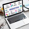 Pro Marketing Plan - Image 2