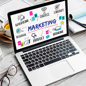 Pro Marketing Plan